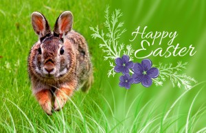 Happy Easter 2013 - Selamat Paskah 2013